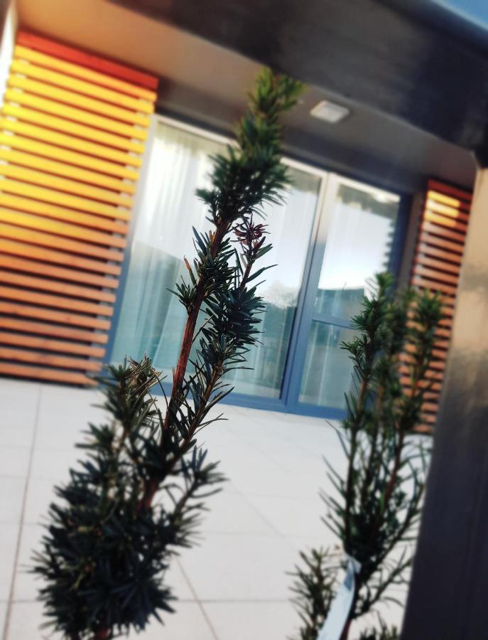 Apartament "Oldmountain" Olimpijska 1C 1 シュチルク エクステリア 写真
